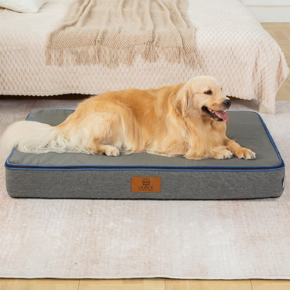 LIORCE orthopedic memory foam XXL dog bed in car; travel-friendly comfort for car rides