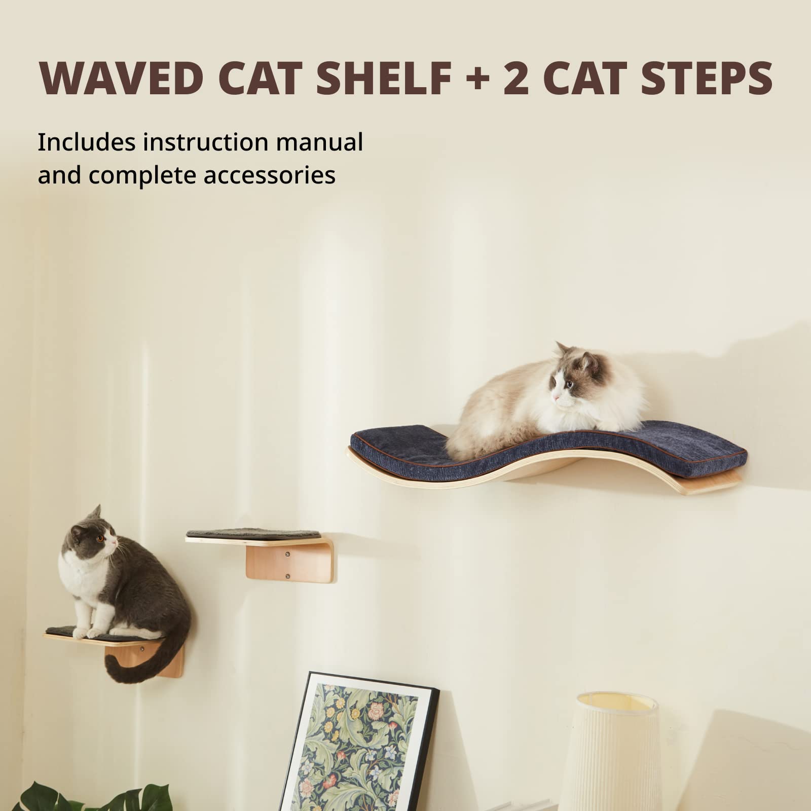 LIORCE package includes two steps and wave bed for easy setup.