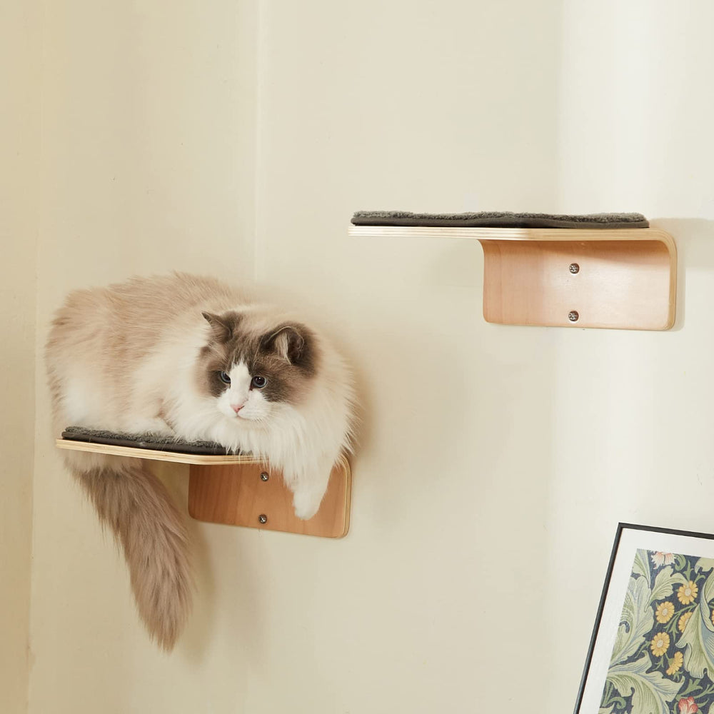 LIORCE wall-mounted cat stairs enable indoor exploration and exercise.