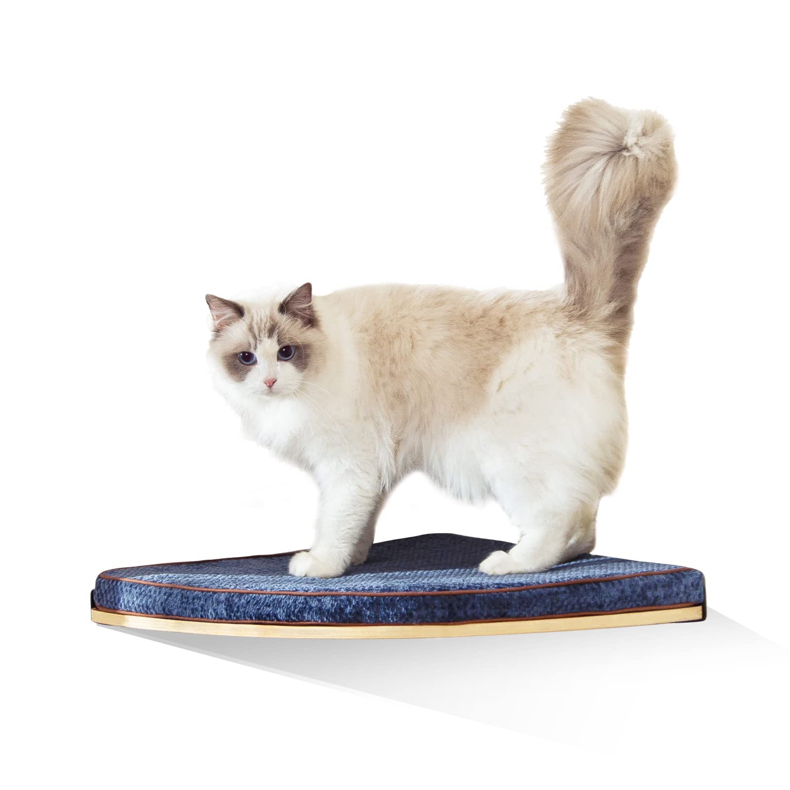 LIORCE wall-mounted corner cat bed cushion closeup for cozy naps