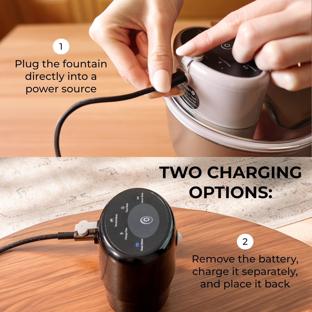 LIPPUP dishwasher safe parts highlight easy maintenance and quick cleanup.