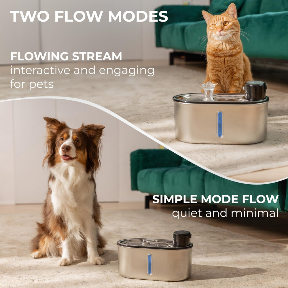 LIPPUP multi filtration system image emphasizes clean water with two filters included.