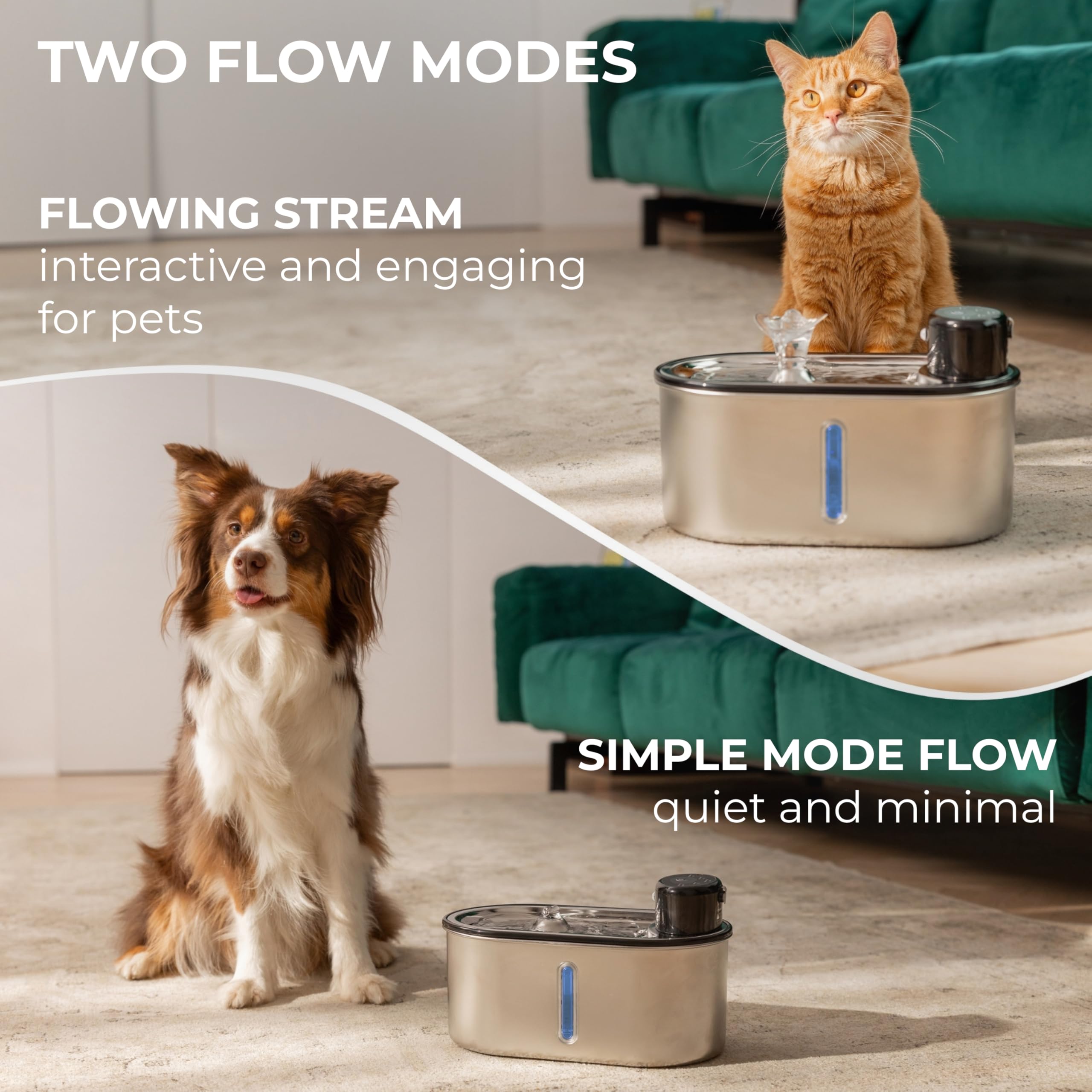LIPPUP installation steps illustrate quick rinse and swap for freshness.