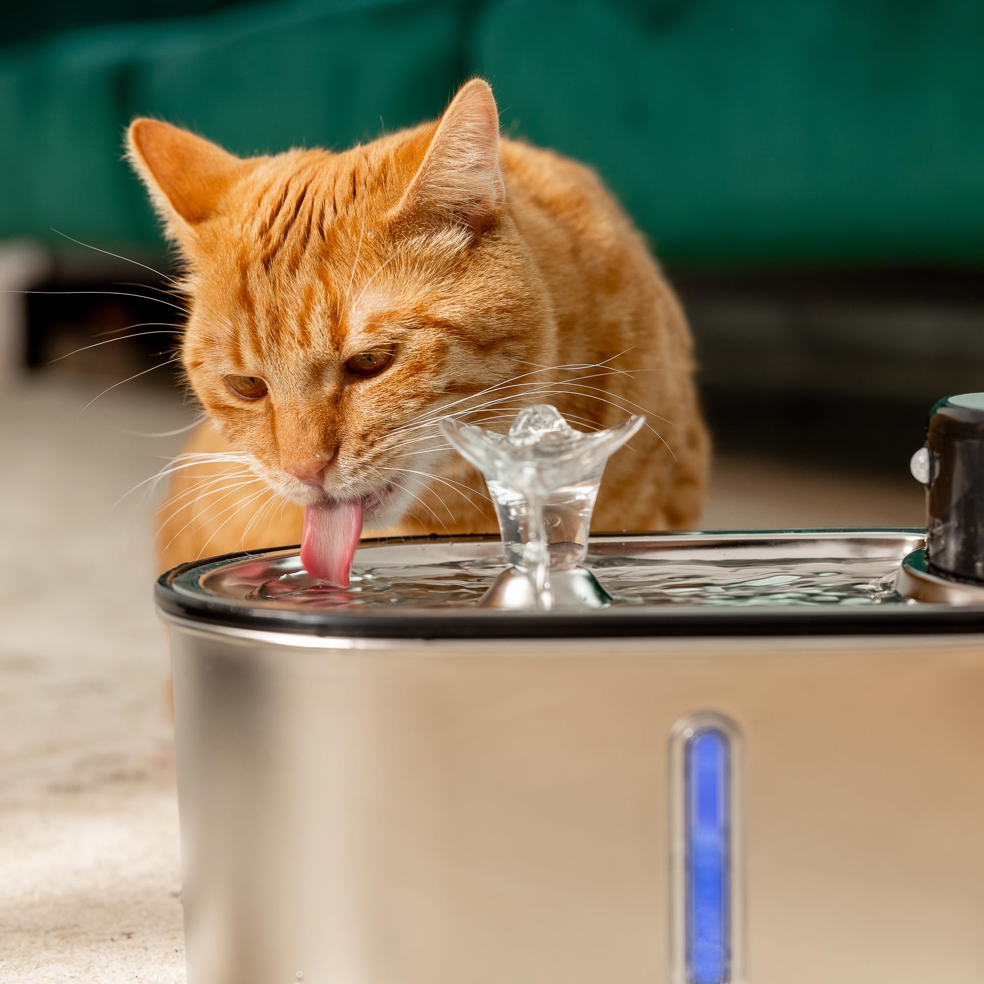 LIPPUP fresh water flow image highlights continuous hydration for pets.