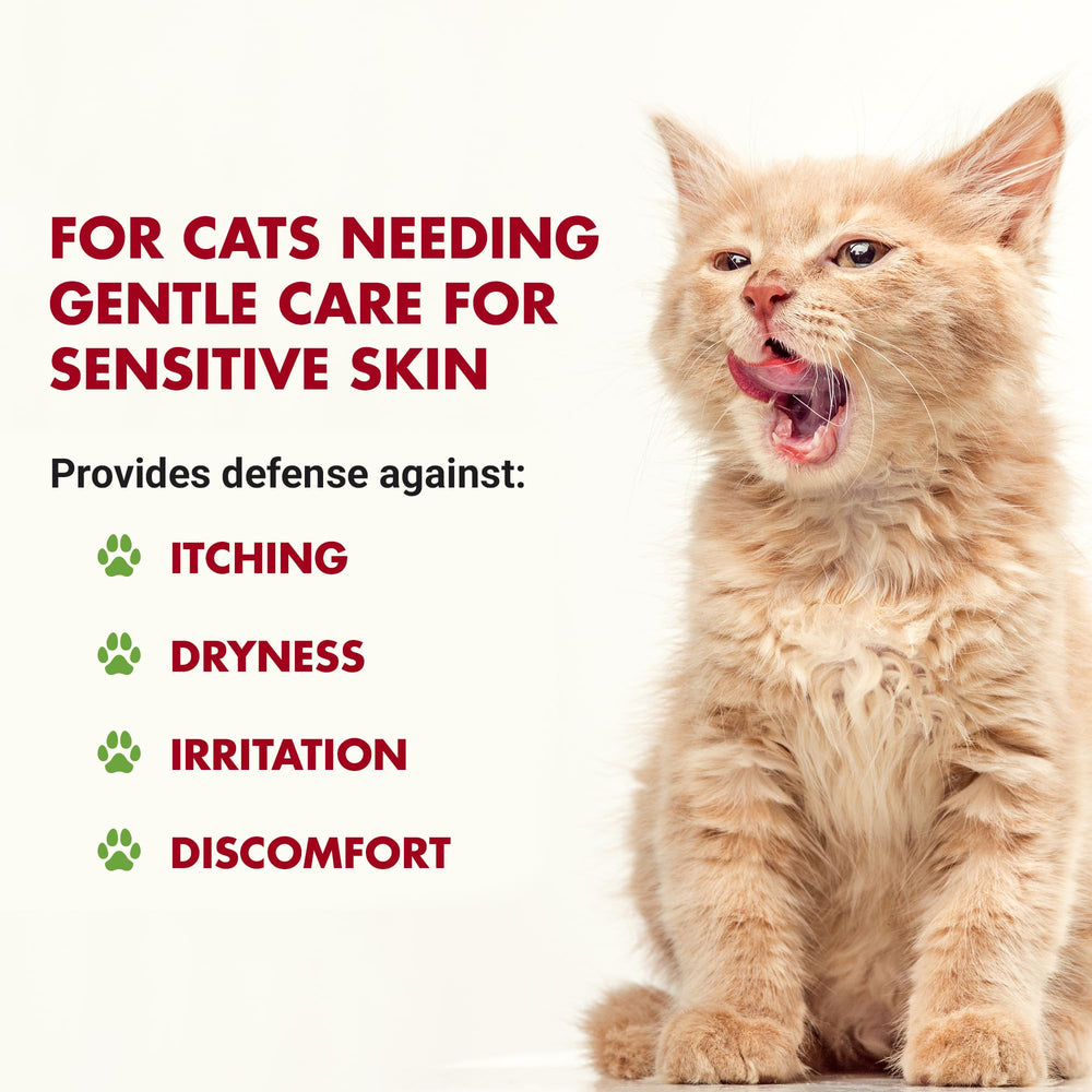 LIQUID-VET dropper-in-use demonstrates convenient dosing for cats.
