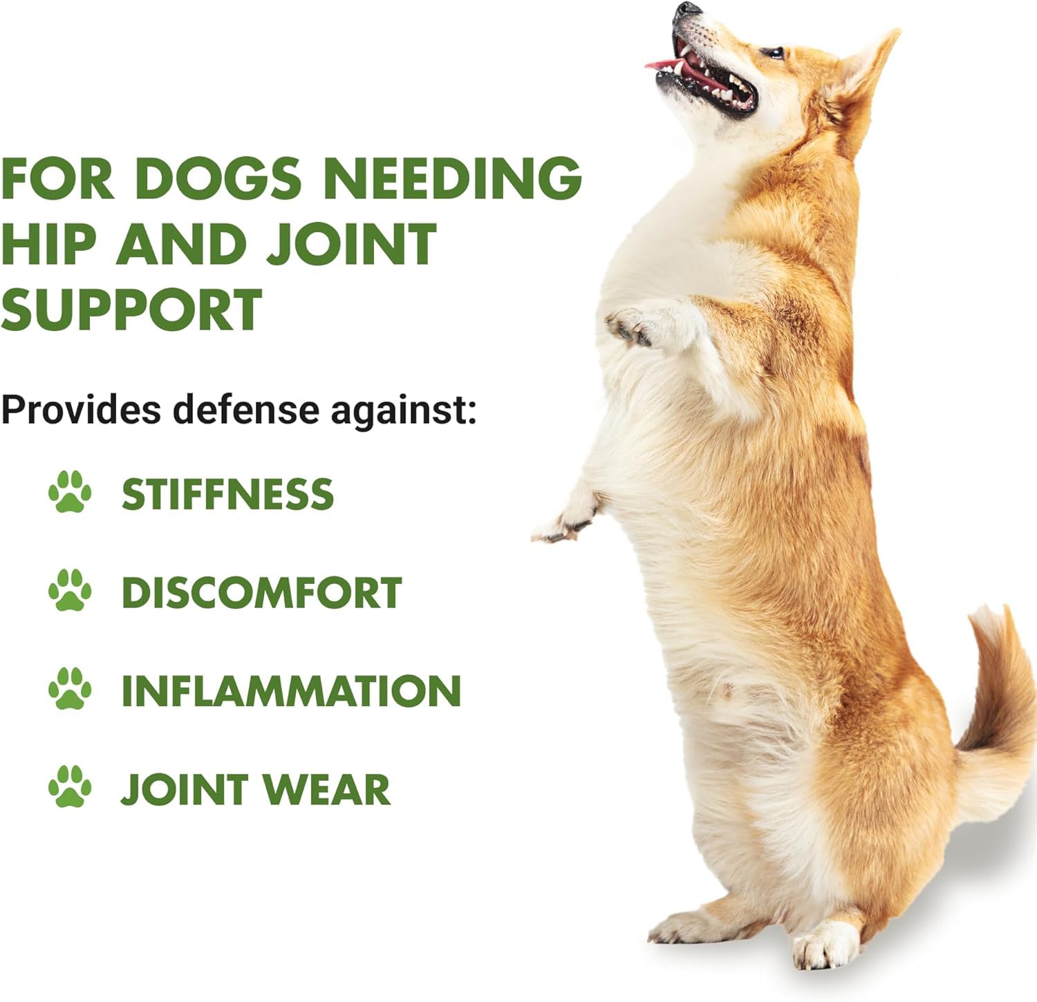 LIQUID-VET K9 Hip & Joint dosing syringe illustrating precise measurement