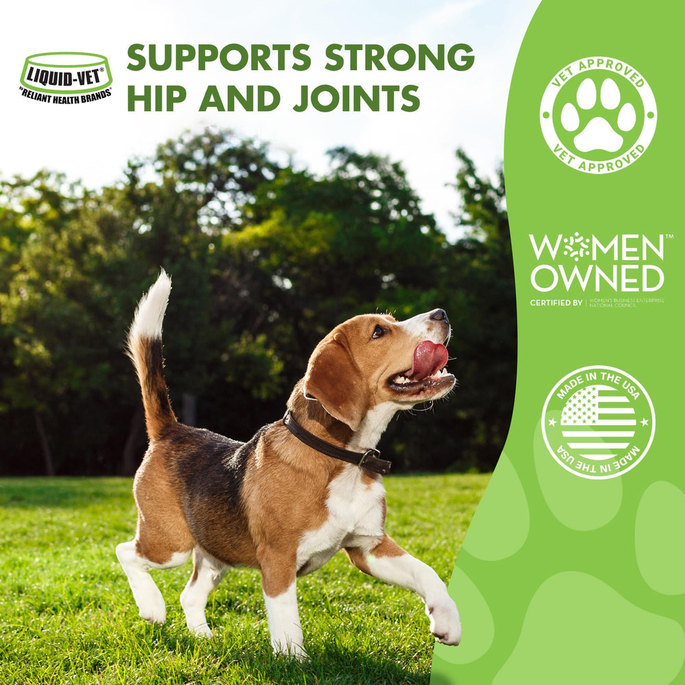 LIQUID-VET K9 Hip & Joint Formula bacon flavor dog running demonstrates mobility support.