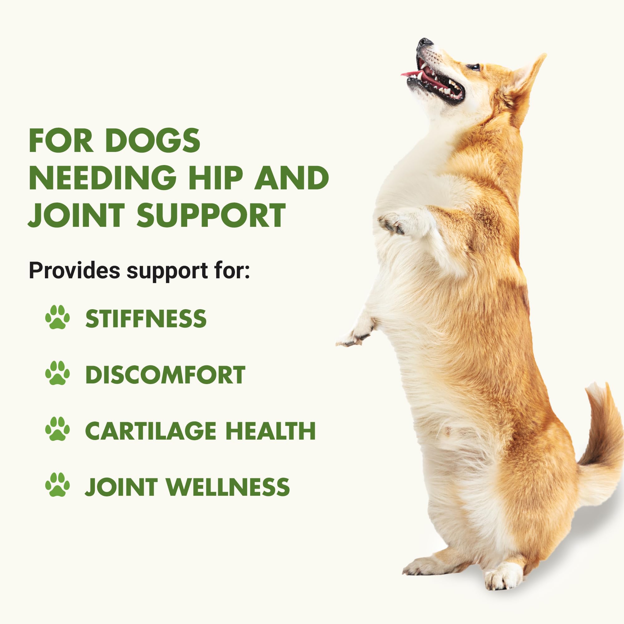 LIQUID-VET K9 Hip & Joint Formula bacon flavor dosing illustrates easy, once-daily administration.