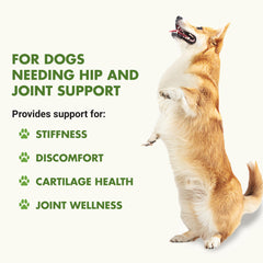 LIQUID-VET K9 Hip & Joint Formula bacon flavor dosing illustrates easy, once-daily administration.