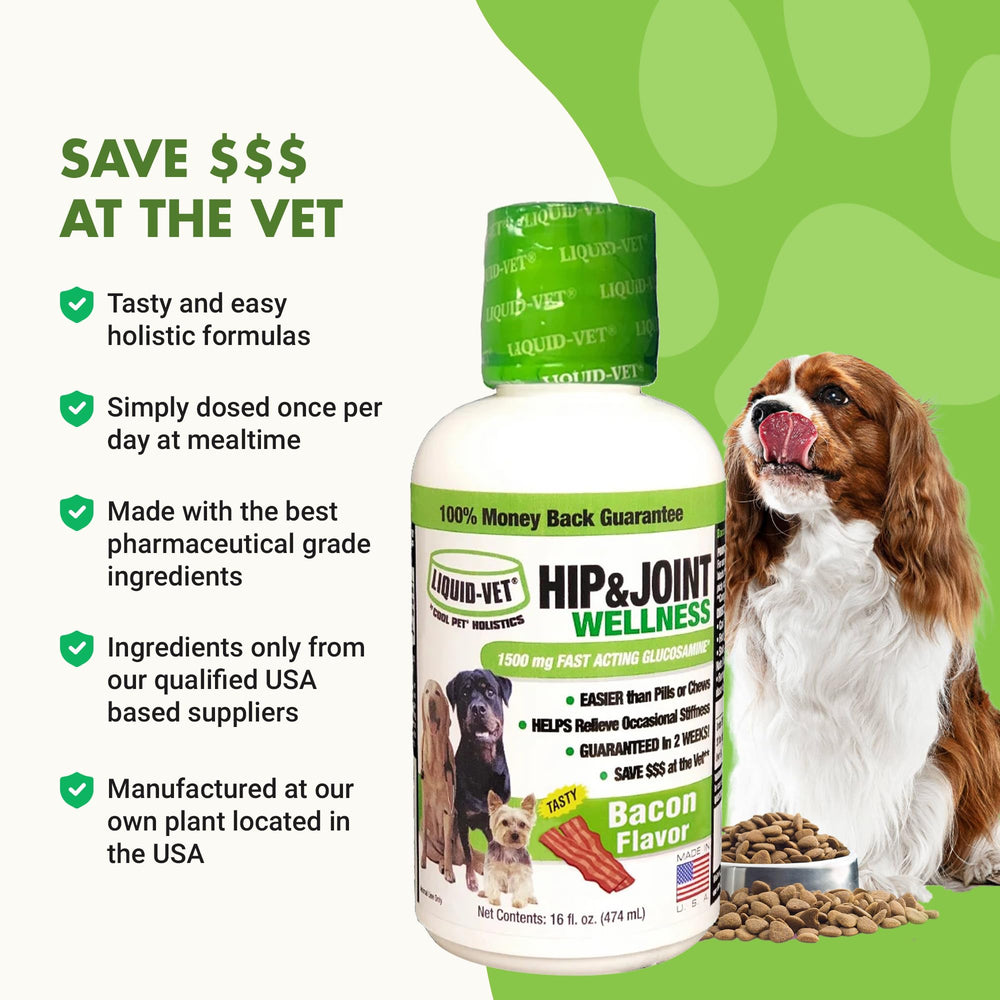LIQUID-VET K9 Hip & Joint Formula bacon flavor close-up highlights tasty appeal.