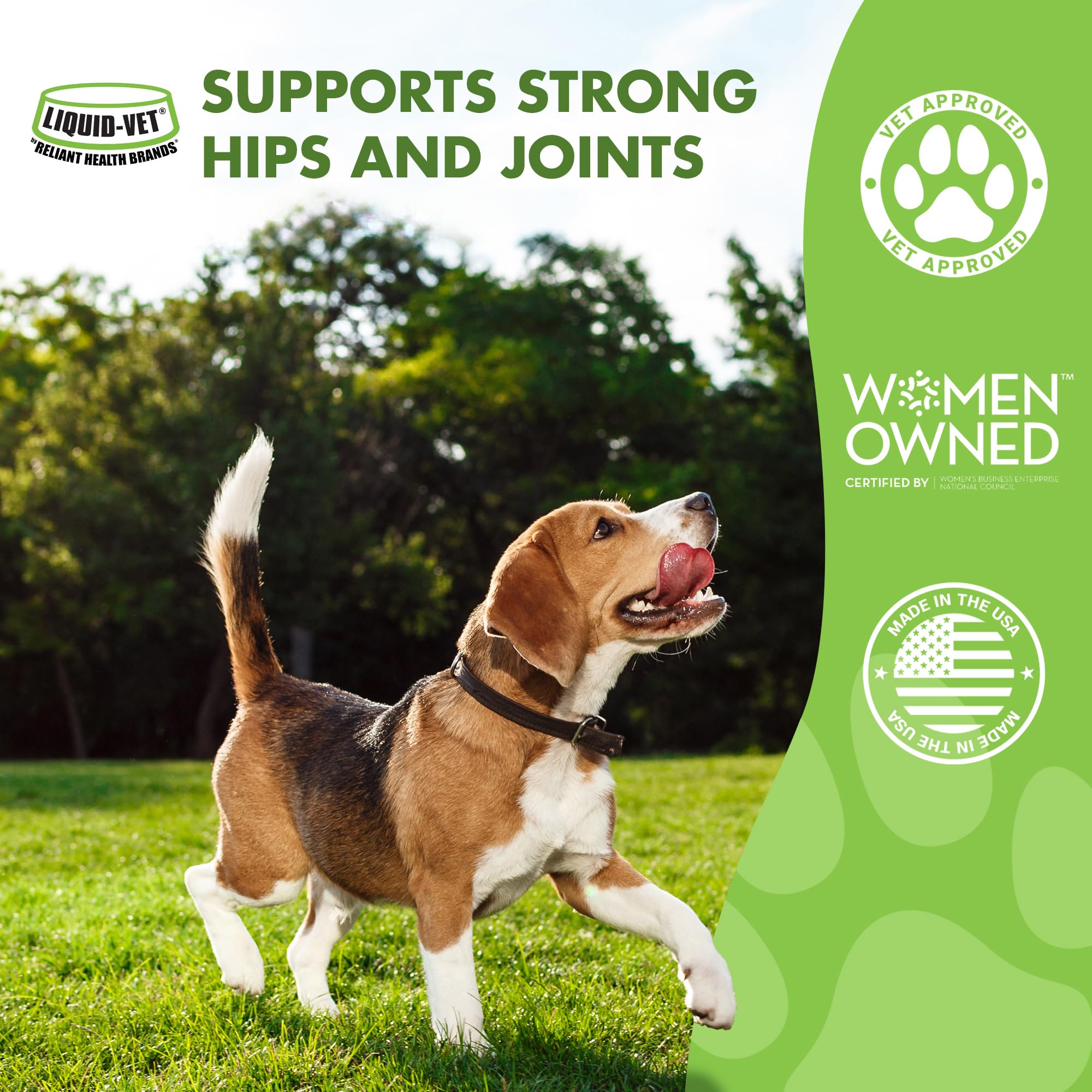 LiquidVet K9 Hip and Joint Wellness chicken flavor pour highlights a palatable option for picky dogs.