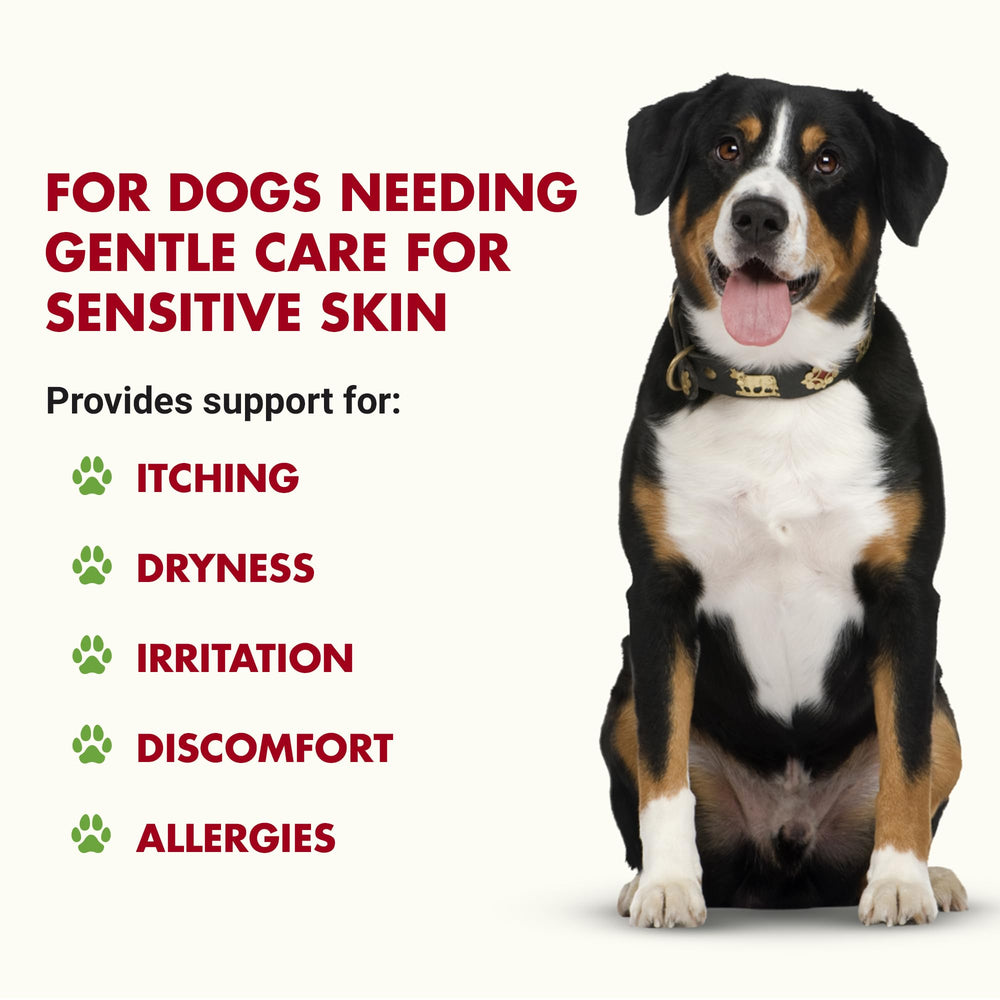 LIQUID-VET K9 Itch & Allergy label close-up highlighting no fishy odor