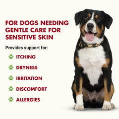 LIQUID-VET K9 Itch & Allergy label close-up highlighting no fishy odor