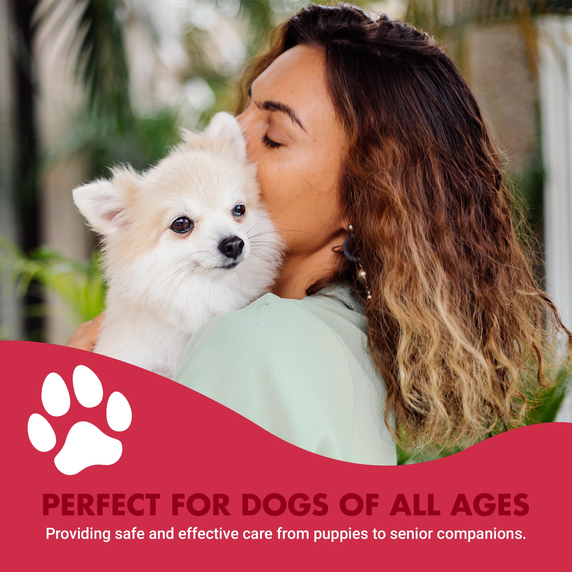LIQUID-VET K9 Itch & Allergy added to dog food for a simple meal boost