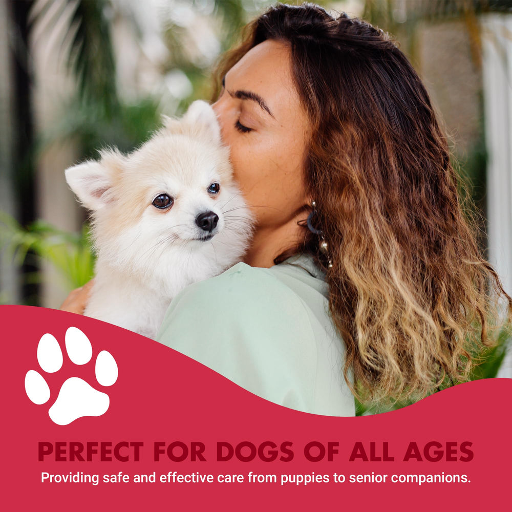 LIQUID-VET K9 Itch & Allergy added to dog food for a simple meal boost