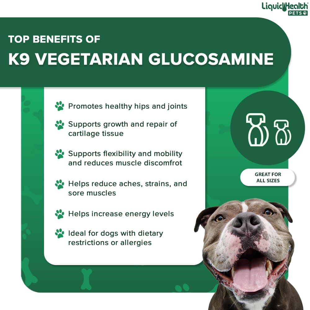LIQUIDHEALTH K9 glucosamine dog running with improved mobility