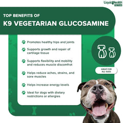 LIQUIDHEALTH K9 glucosamine dog running with improved mobility