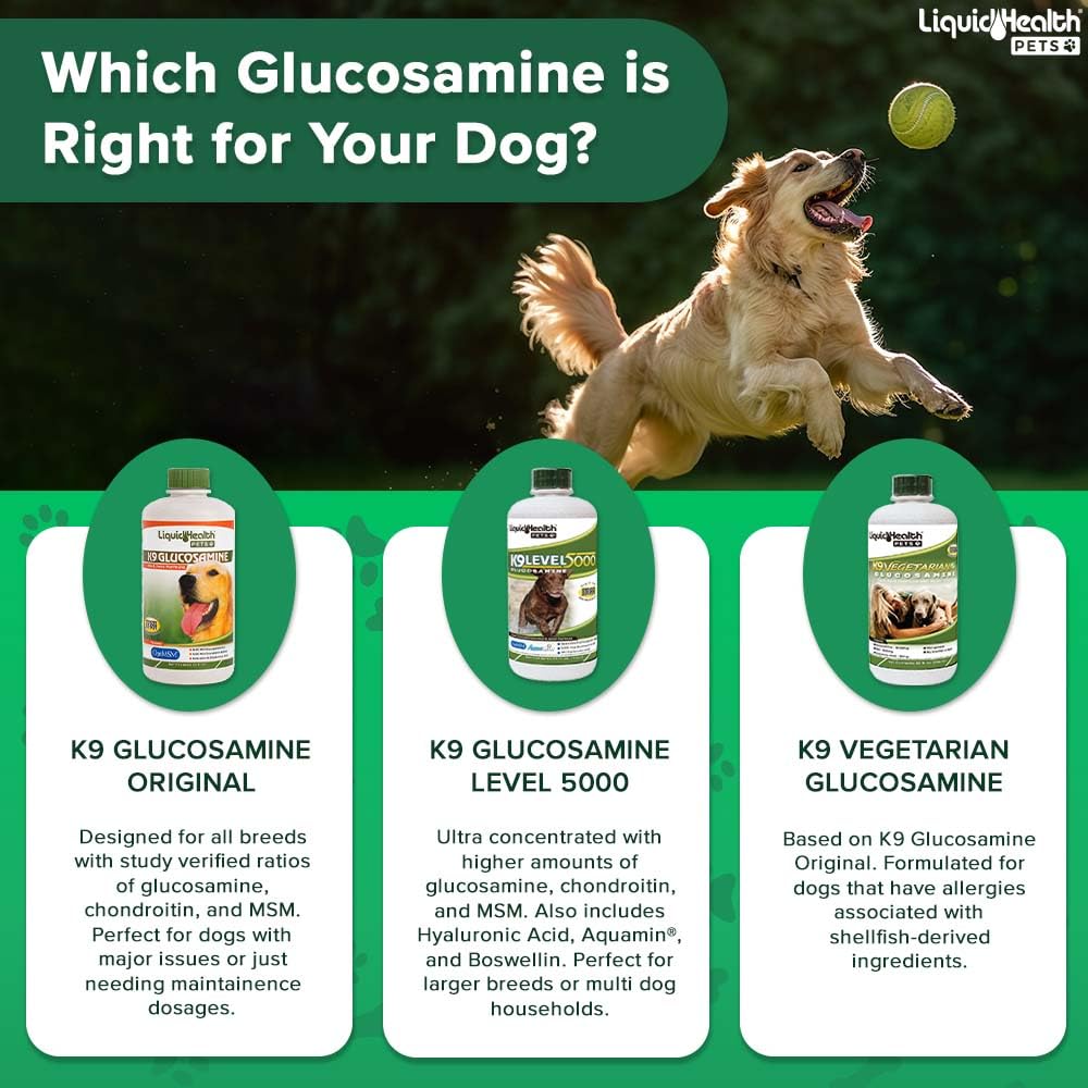 LIQUIDHEALTH Pets K9 dog in motion suggests improved mobility