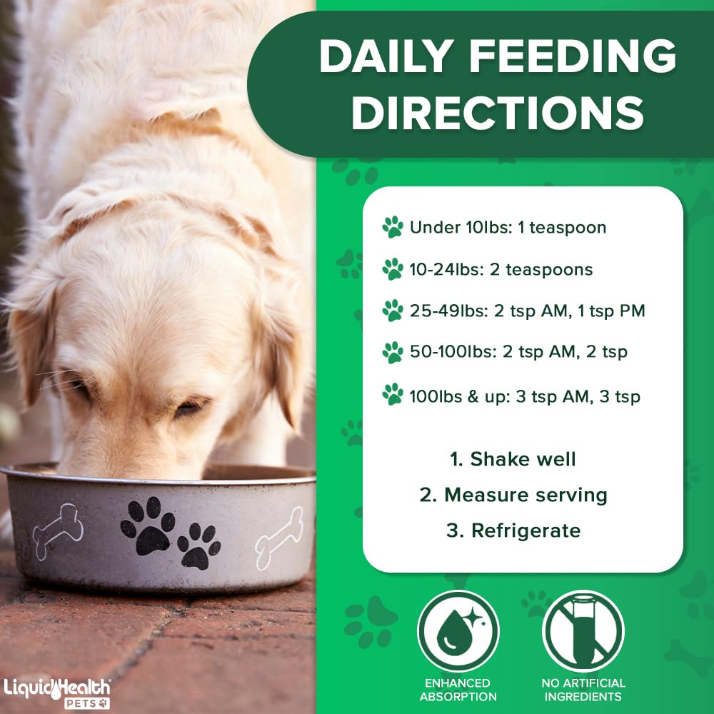 LIQUIDHEALTH aging dog scene suggests improved mobility potential