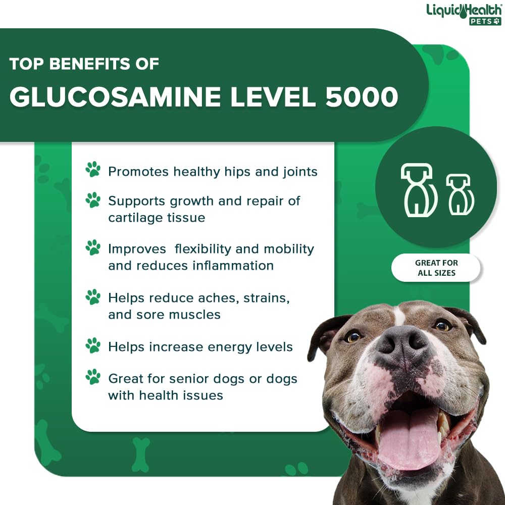 LIQUIDHEALTH K9 Glucosamine bottle on table ready for daily joint care routine