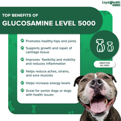 LIQUIDHEALTH K9 Glucosamine bottle on table ready for daily joint care routine