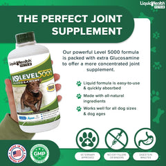 LIQUIDHEALTH K9 Glucosamine dog running illustration of active lifestyle support