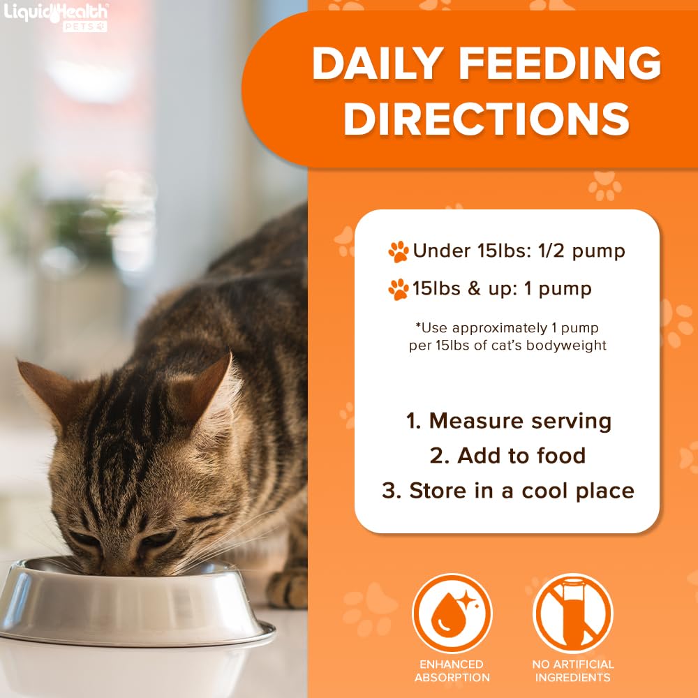LIQUIDHEALTH omega-3 supports joint comfort with cats during playtime.