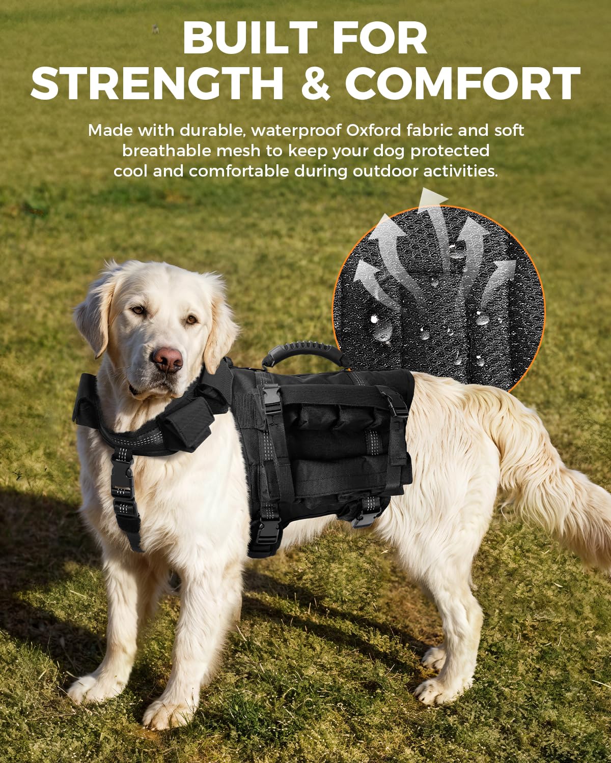 LISPOO diseño de dos piezas para entrenamiento de cuerpo completo