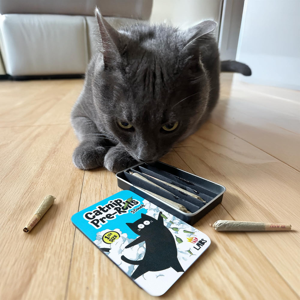 LIT LABS Catnip Joints catnap-to-action frame reveals relaxed cats ready for mischief.