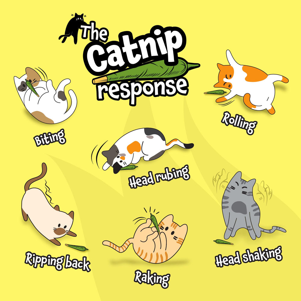 LIT LABS Catnip Joints stash tin showcases reusable storage that keeps nip potent.