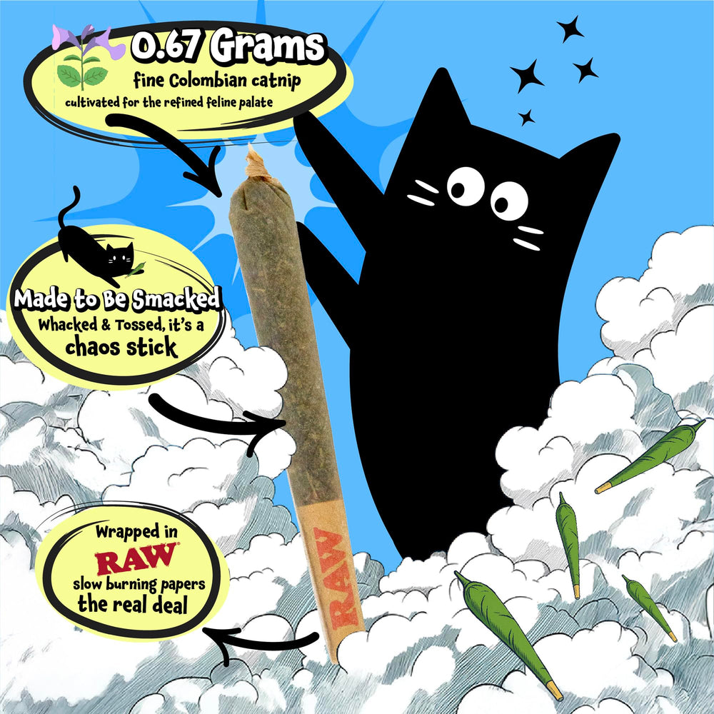 LIT LABS Catnip Joints tiny-tyrant toy demonstrates channeling energy into constructive tumbles.