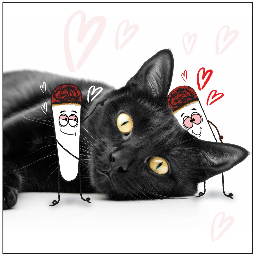 LIT LABS Kittie Doobs Love gift idea ideal for cat lovers and humor.
