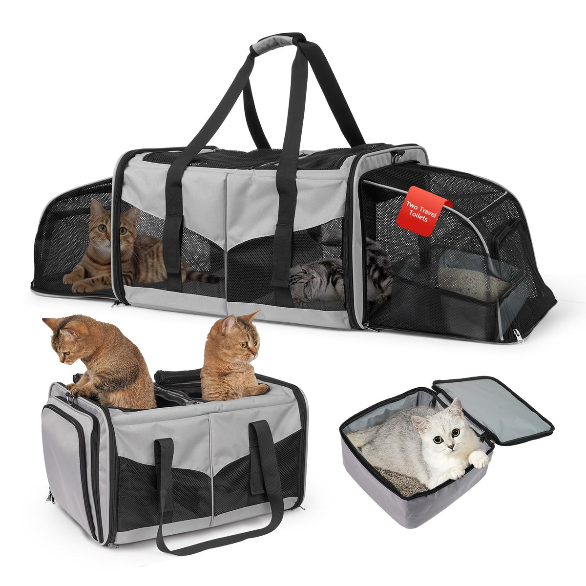LitaiL cat travel carrier left-compartment for comfortable two-cat lounging.