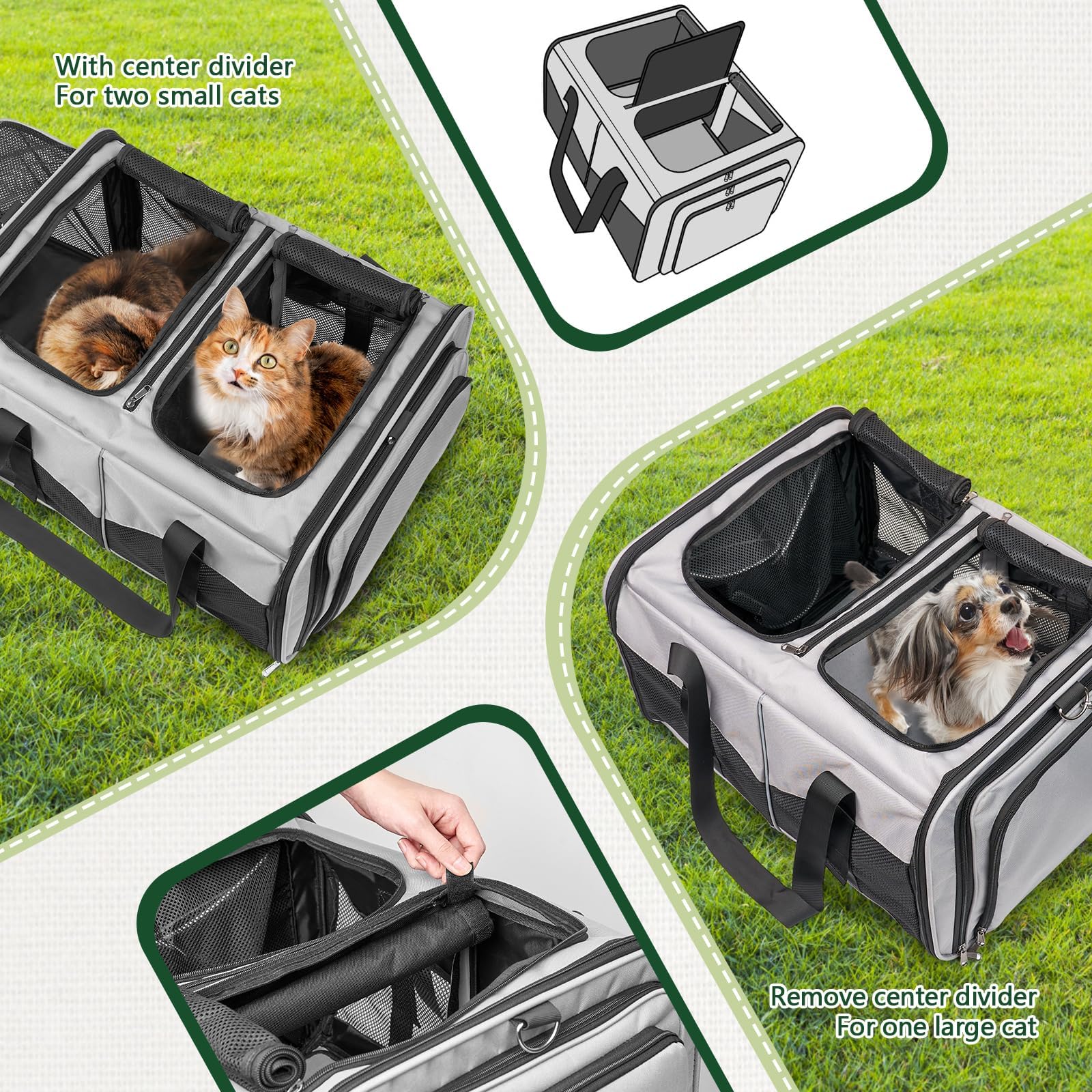 LitaiL cat travel carrier top openings provide easy access and ventilation.