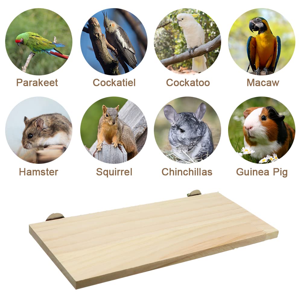 Litewoo bird-stand fosters safe landing and interactive cage time during play sessions