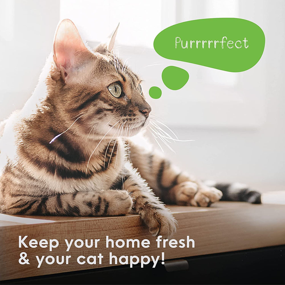 Two-month refill life in one-cat households seen in daily routine.