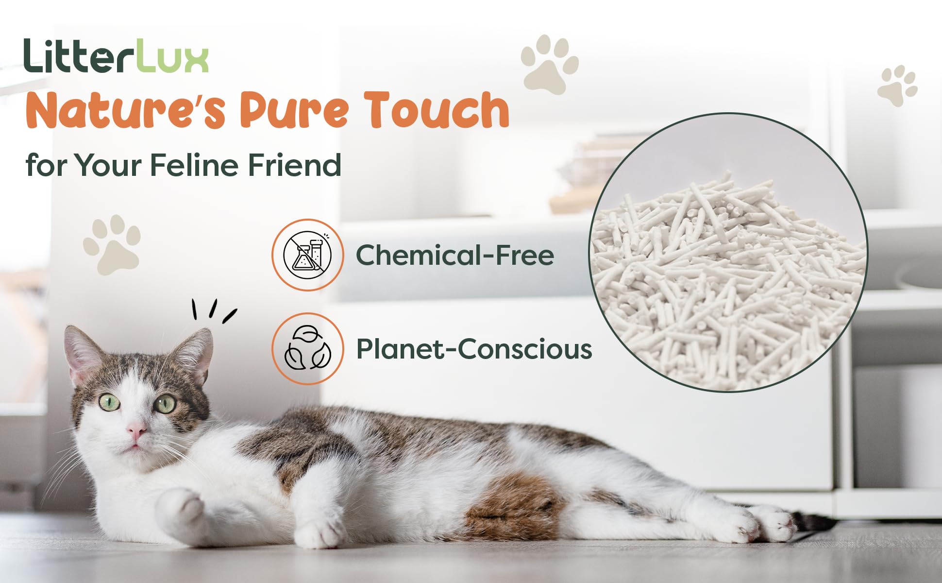 LitterLux Tofu Litter cat-and-litterbox scene illustrates practical home use.