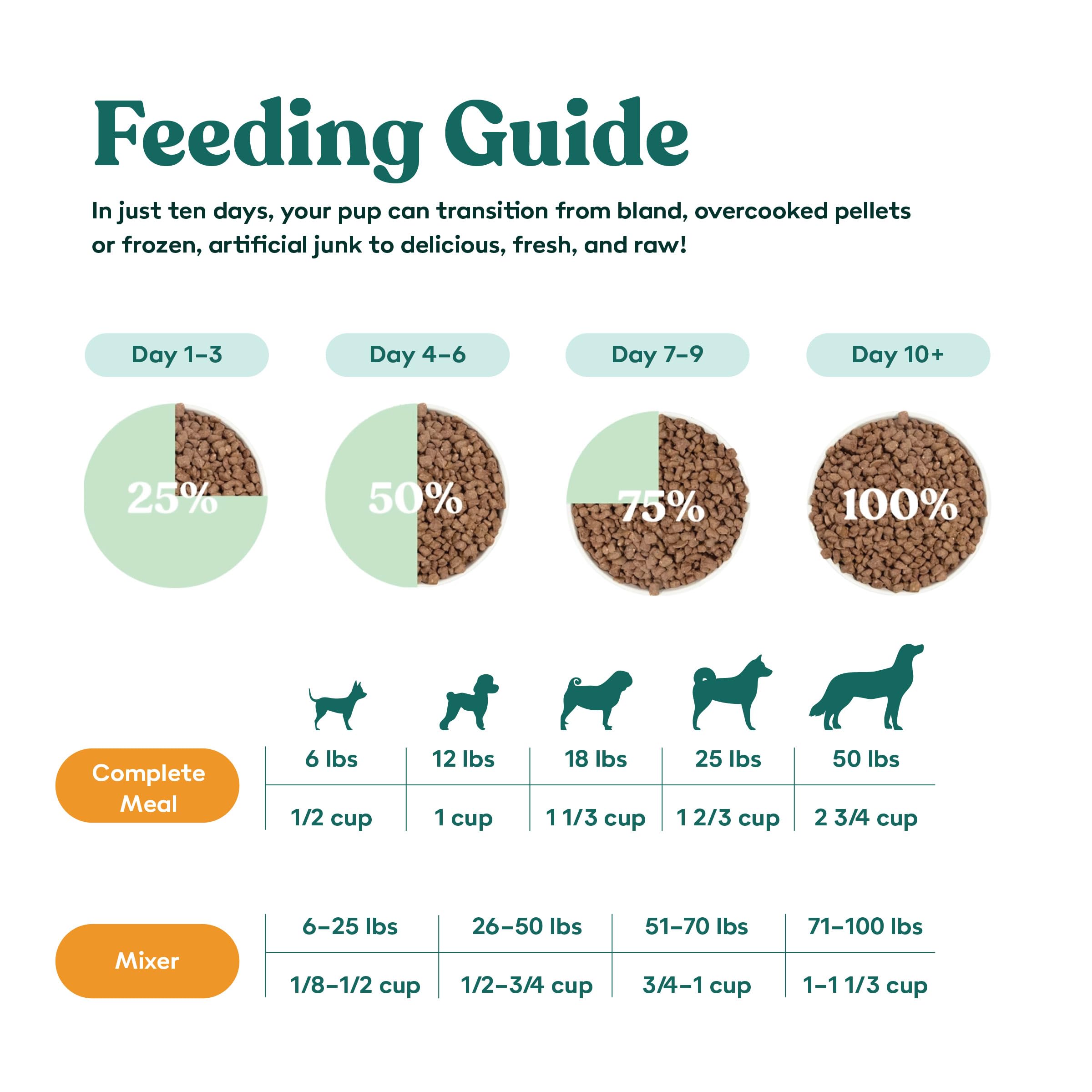 Little Hunter grain-free recipe – high protein, no grains.