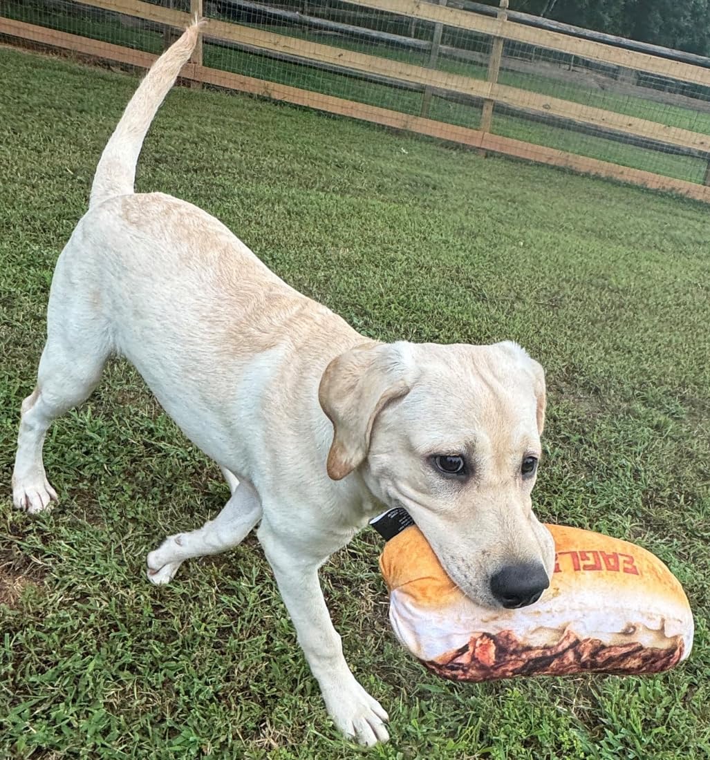 Littlearth Philadelphia Eagles cheesesteak toy squeaker interior encourages playful chewing