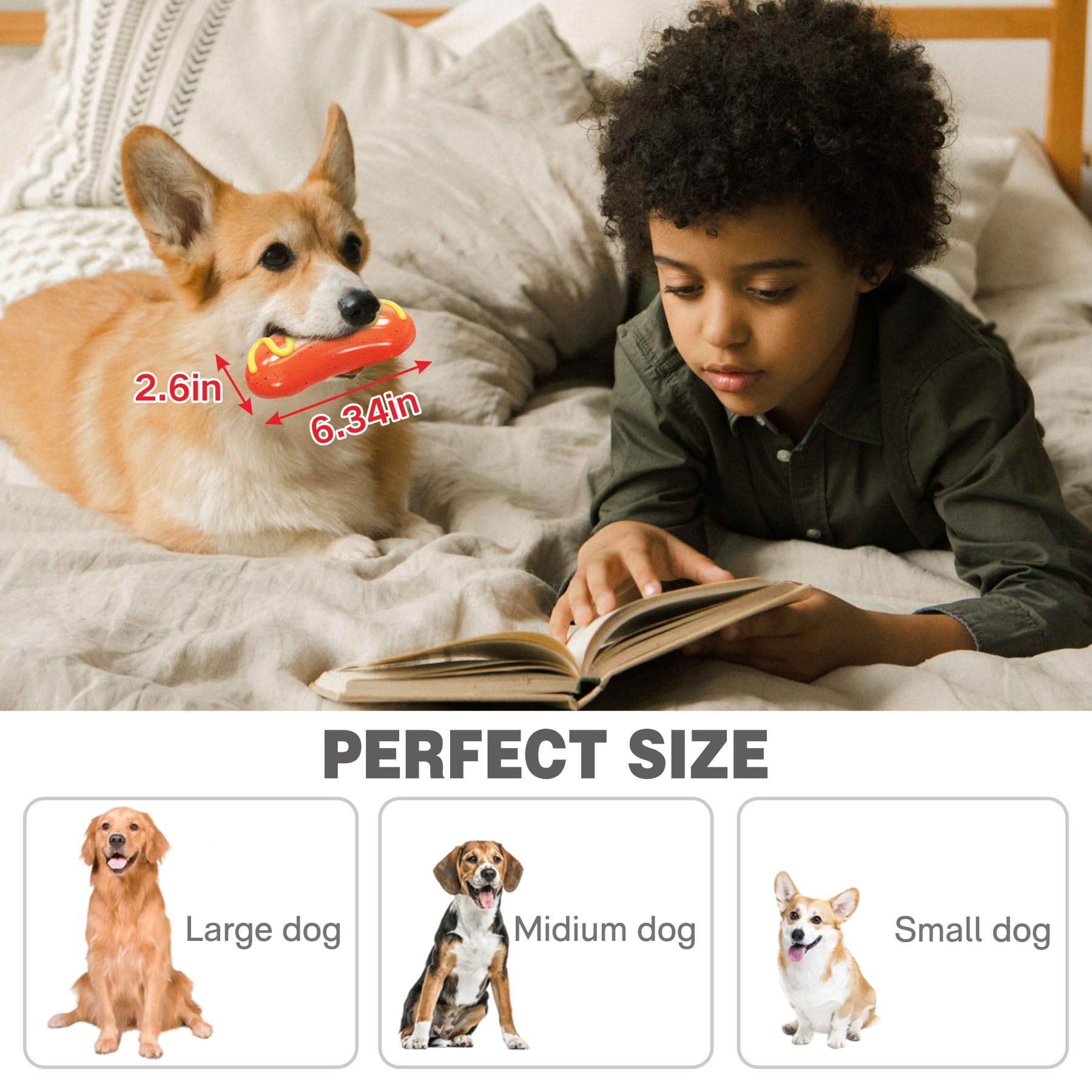 LiuMelinda natural rubber dog toy image—safe material with elastic feel for healthy chewing.