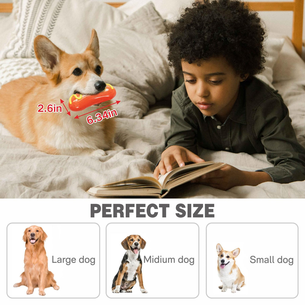 LiuMelinda natural rubber dog toy image—safe material with elastic feel for healthy chewing.