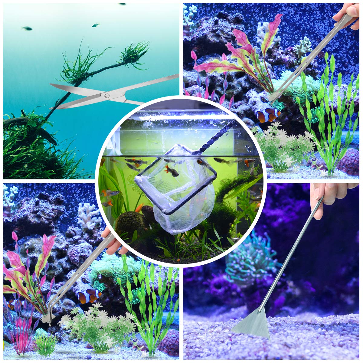Liveek pH paper helps monitor water conditions for healthier tanks.