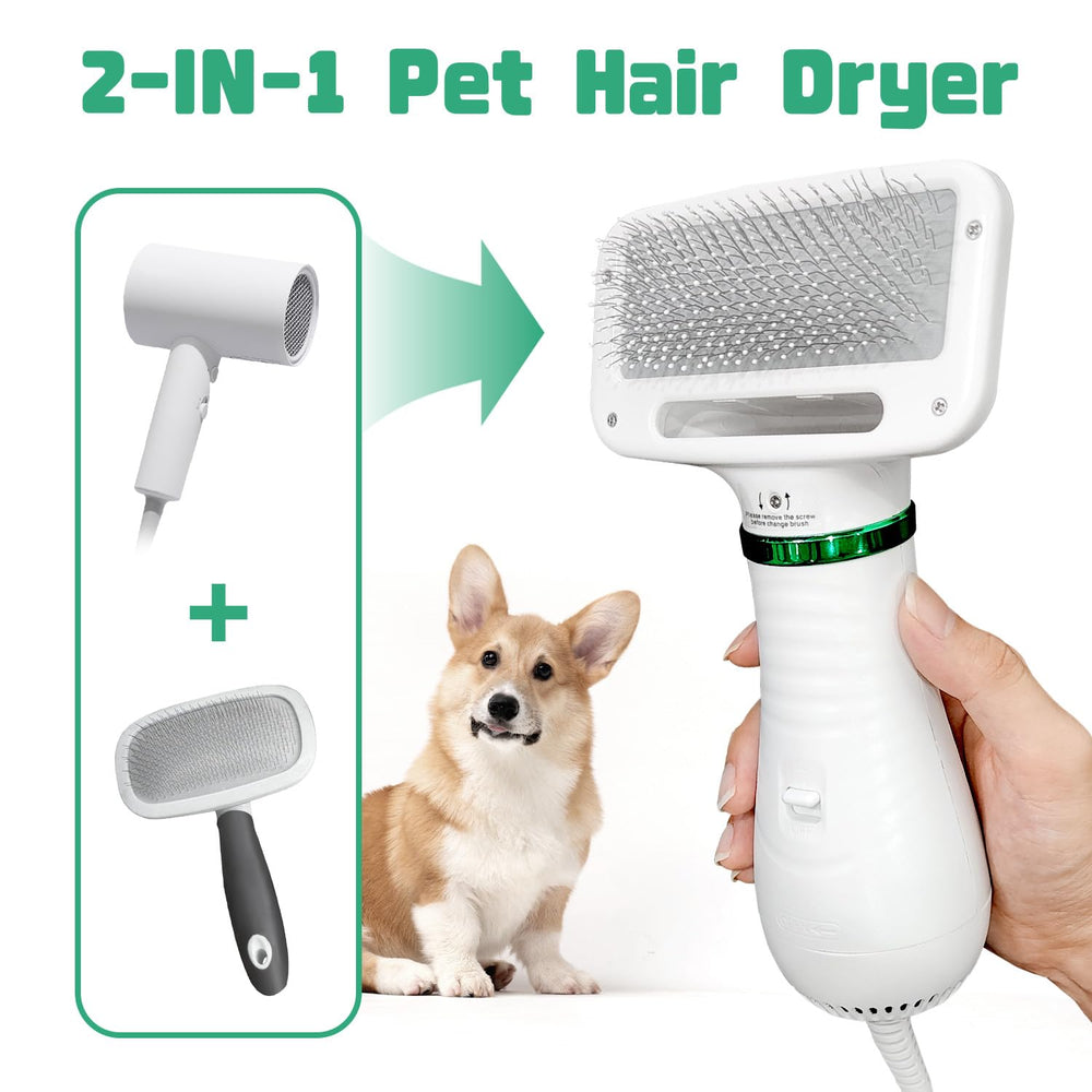 LIVEKEY quiet dog hair dryer minimizes noise for calm grooming sessions.
