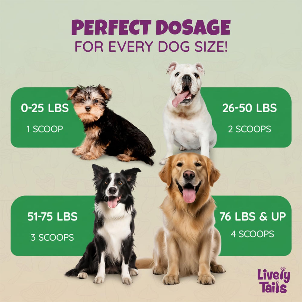 Lively Tails bone broth dog supplement highlights collagen-rich formula for joints and skin.