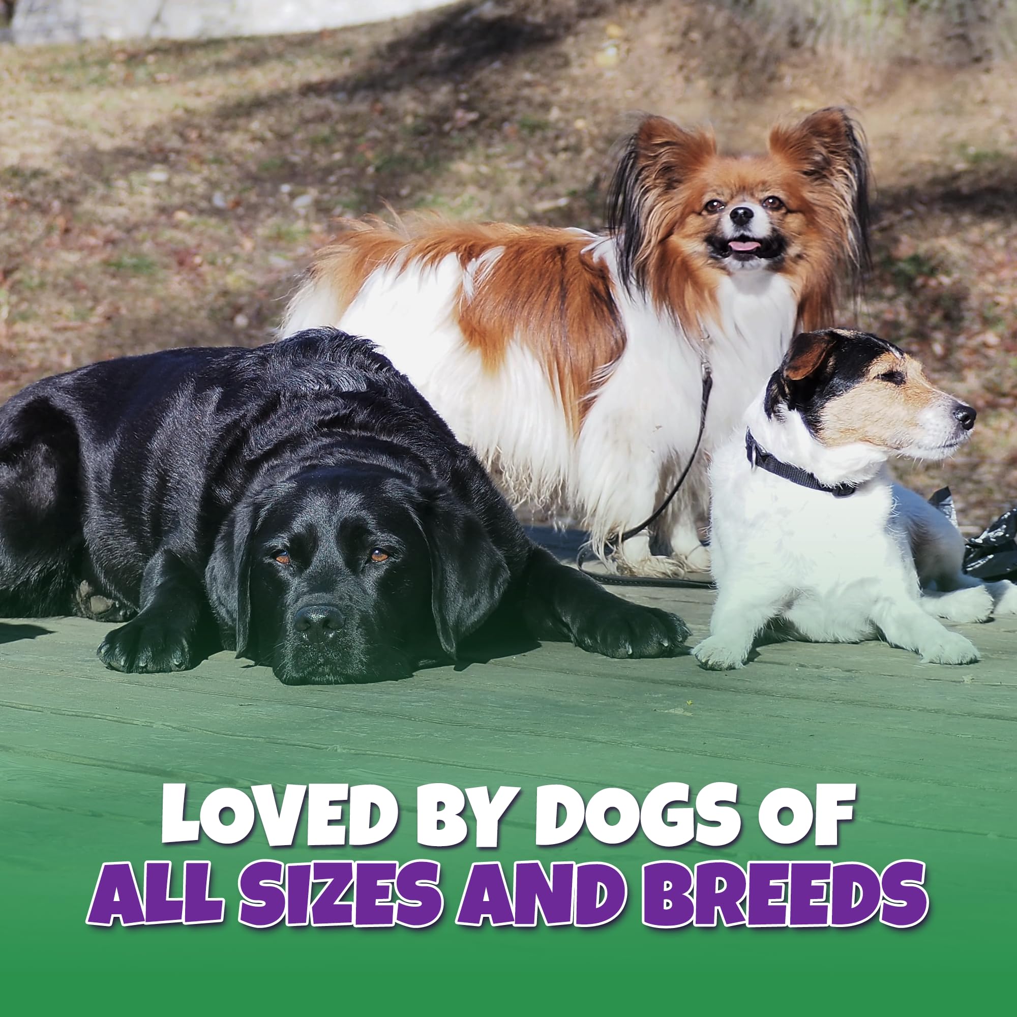 Lively Tails dogs enjoying chew demonstrates durable, interactive reward and dental health potential.
