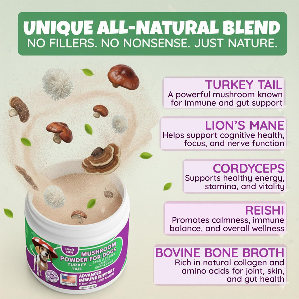 Lively Tails lions mane mushroom powder promotes calm, alertness in dogs.