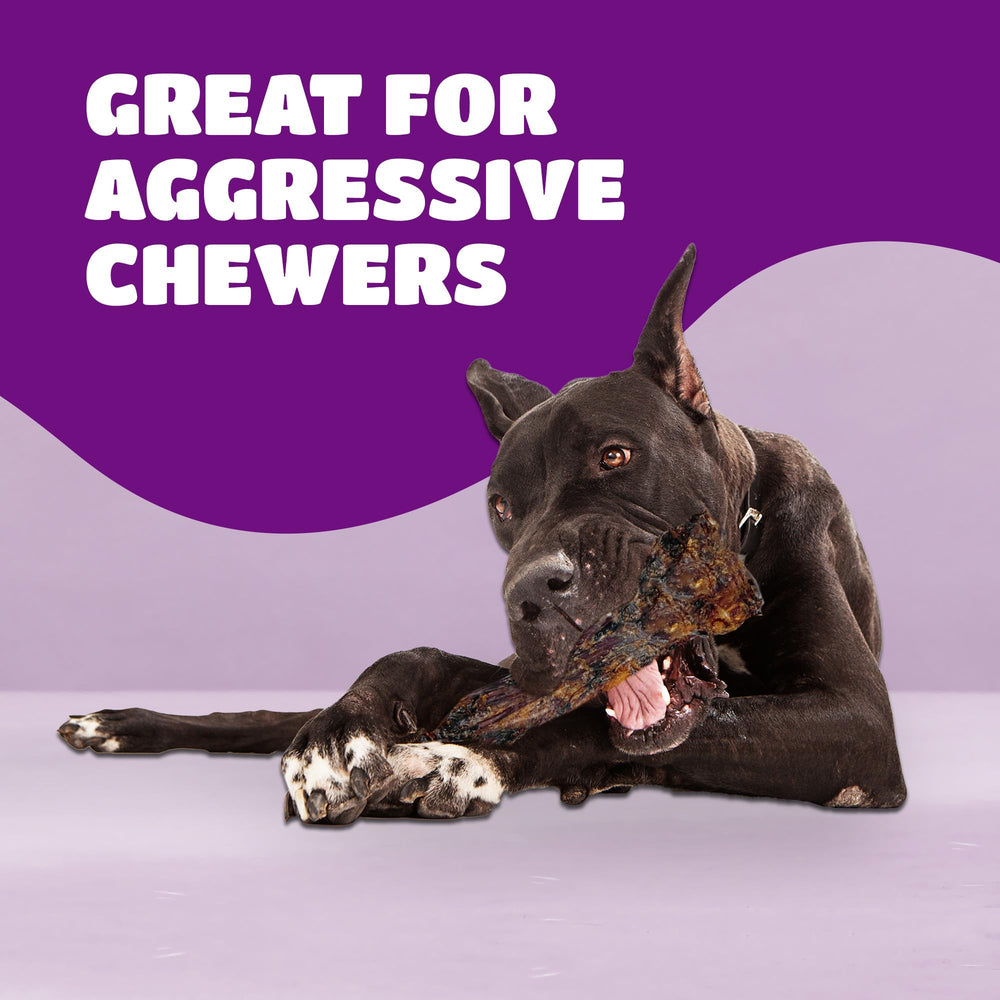 Lively Tails liver coating texture closeup highlights tasty flavor for dogs.