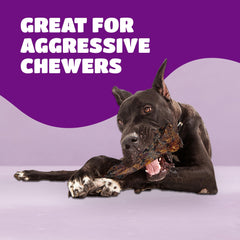 Lively Tails liver coating texture closeup highlights tasty flavor for dogs.