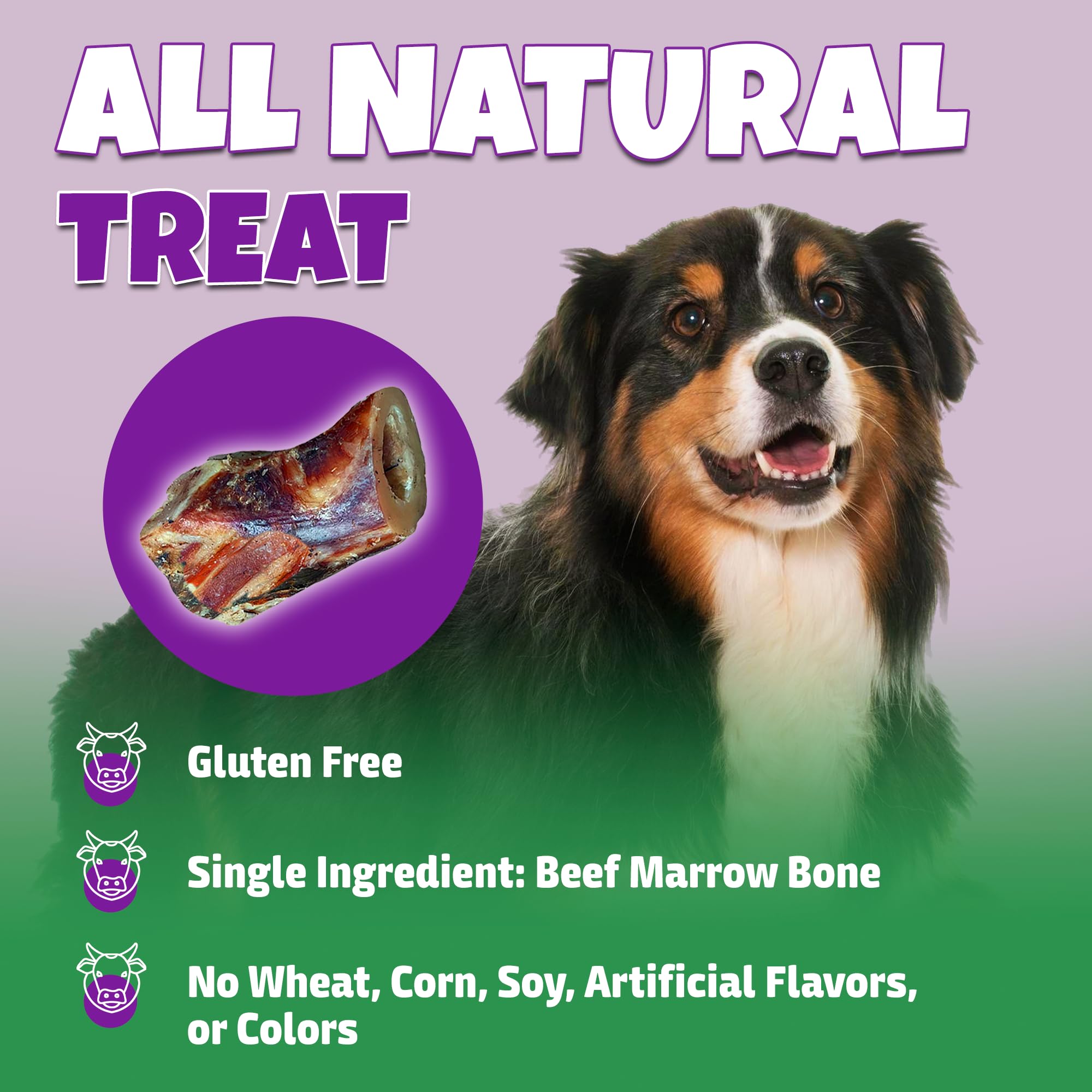 Lively Tails Marrow Bones beef marrow center highlights natural protein.