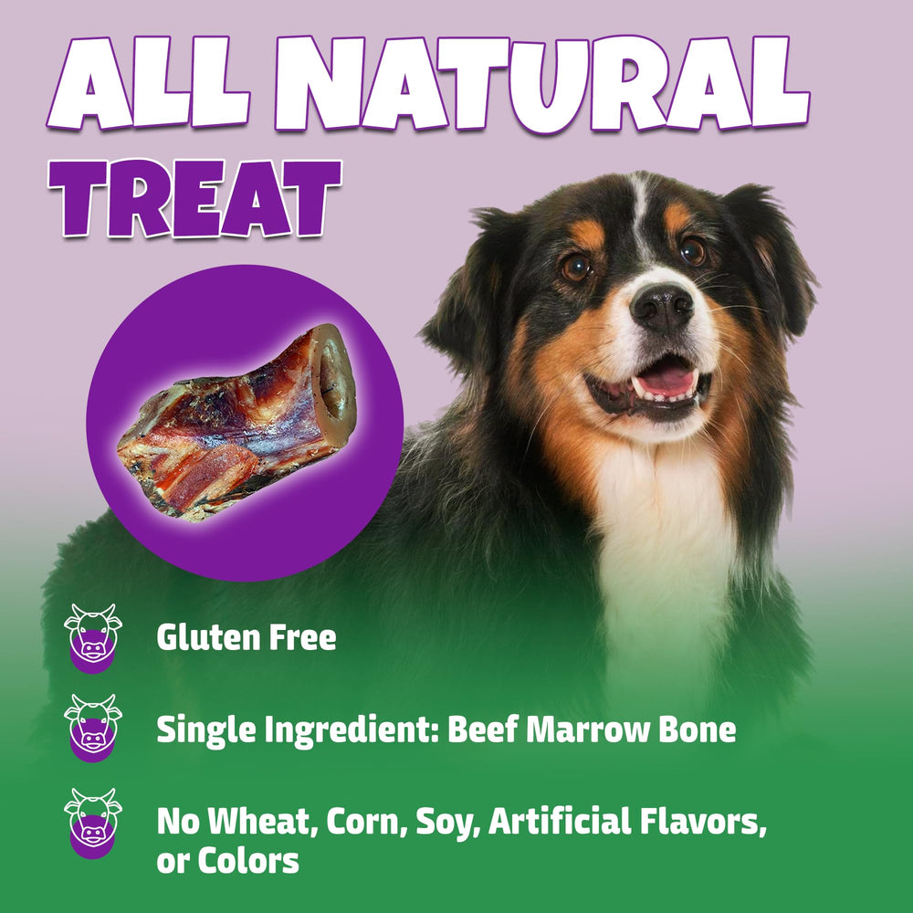 Lively Tails Marrow Bones beef marrow center highlights natural protein.